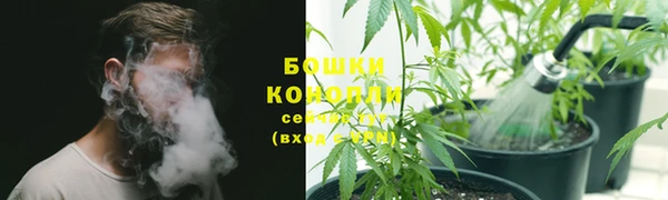 стафф Абаза