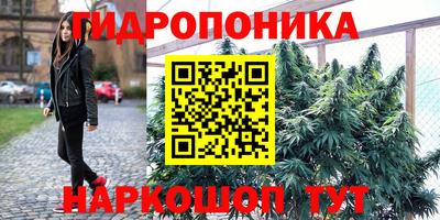 СК Бузулук