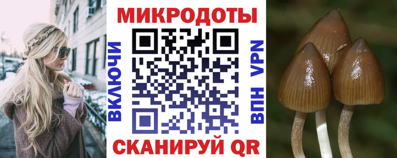ссылка на мегу онион Карталы сайты даркнета клад Галлюциногенные грибы мухоморы