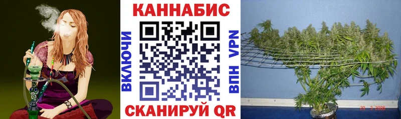 Шишки марихуана конопля Карталы